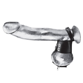 Ремешок для пениса и мошонки BlueLine